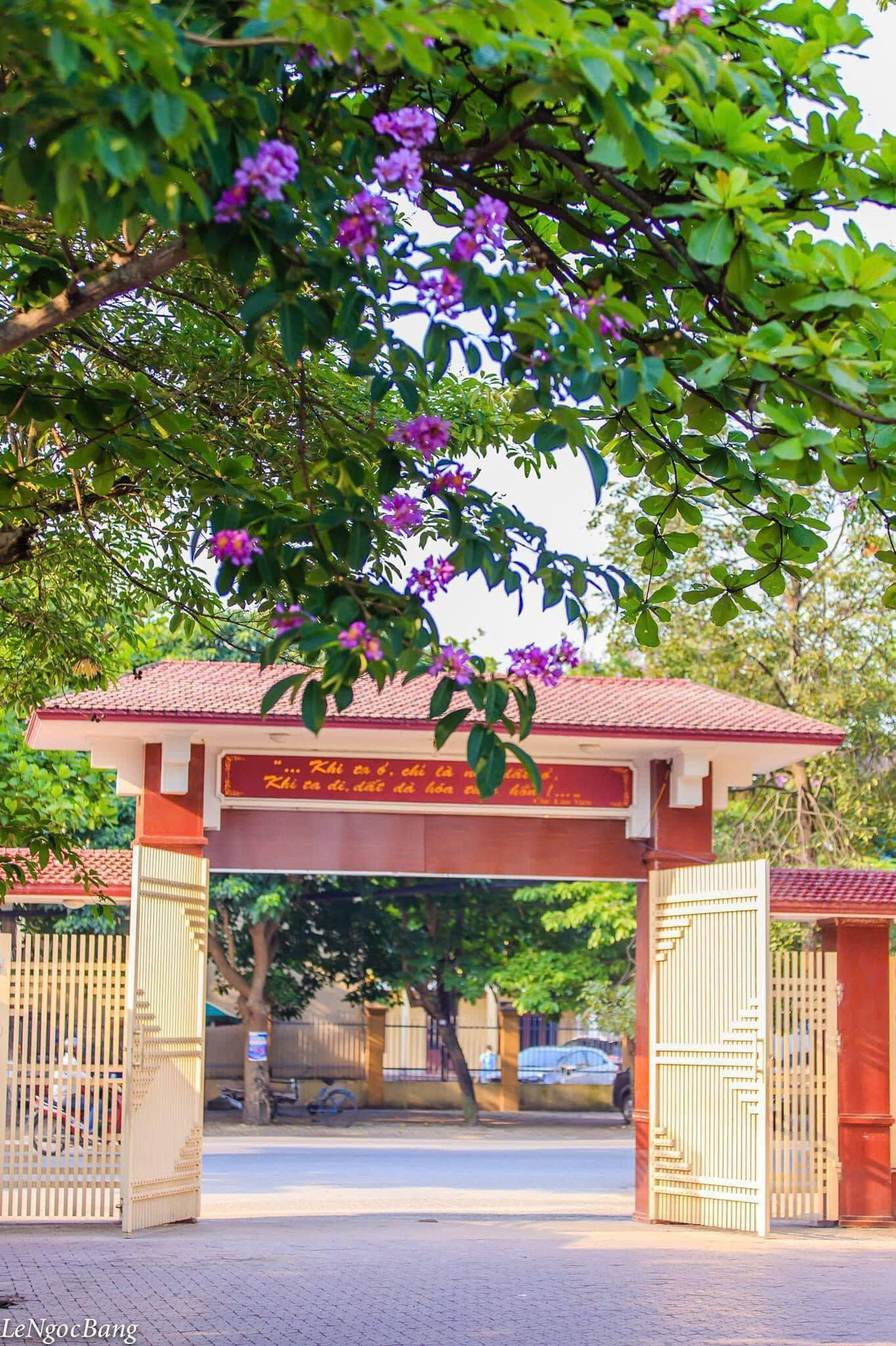 A gate with purple flowers and trees

Description automatically generated