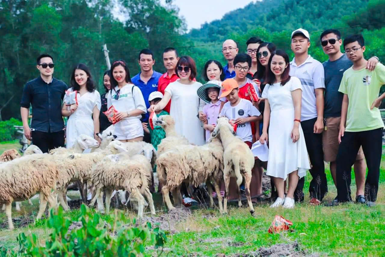 A group of people standing in front of a group of sheep

Description automatically generated