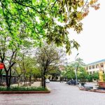 A street with trees and a statue Description automatically generated